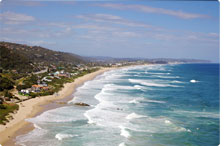 The Garden Route- South Africa