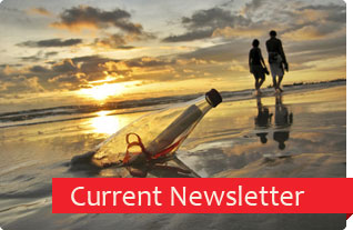 RVI Newsletter - from the chairmain